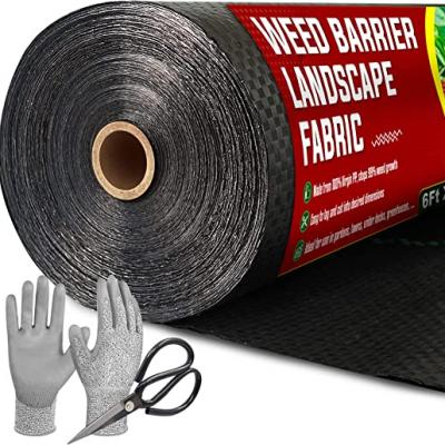 PP Plastic Woven Geotextile/Textile Landscape Ground Cover Anti Grass Weed Control Mat for Garden