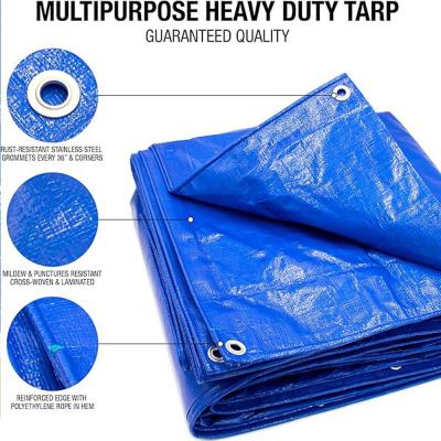 Polyethylene/PE PP Plastic Outdoor Waterproof Blue PE Tarpaulin with UV Treated